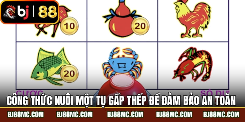 Công thức nuôi một tụ gấp thếp để đảm bảo an toàn