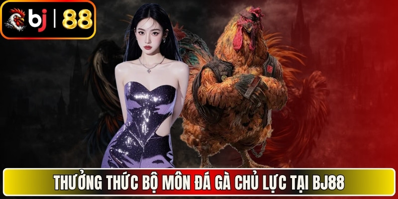 Thưởng thức bộ môn đá gà chủ lực tại BJ88