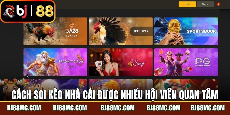 Cách soi kèo nhà cái được nhiều hội viên quan tâm
