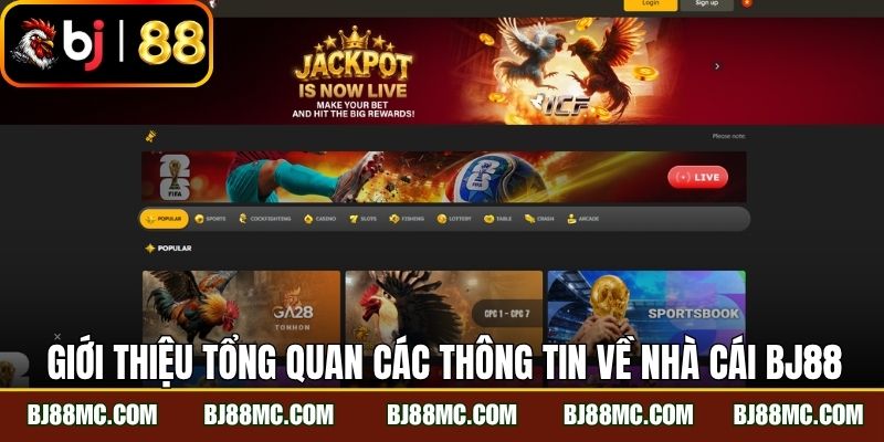 Giới thiệu tổng quan các thông tin về nhà cái BJ88