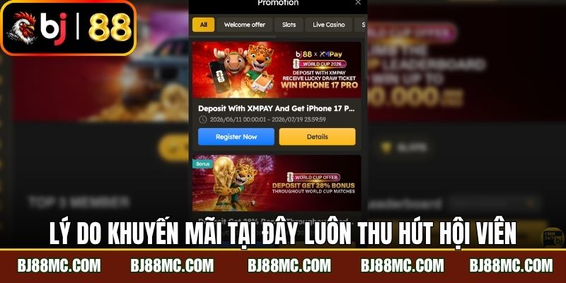 Lý do khuyến mãi tại đây luôn thu hút hội viên