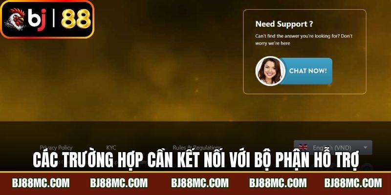 Các trường hợp cần kết nối với bộ phận hỗ trợ