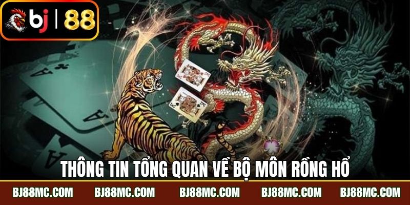 Thông tin tổng quan về bộ môn rồng hổ